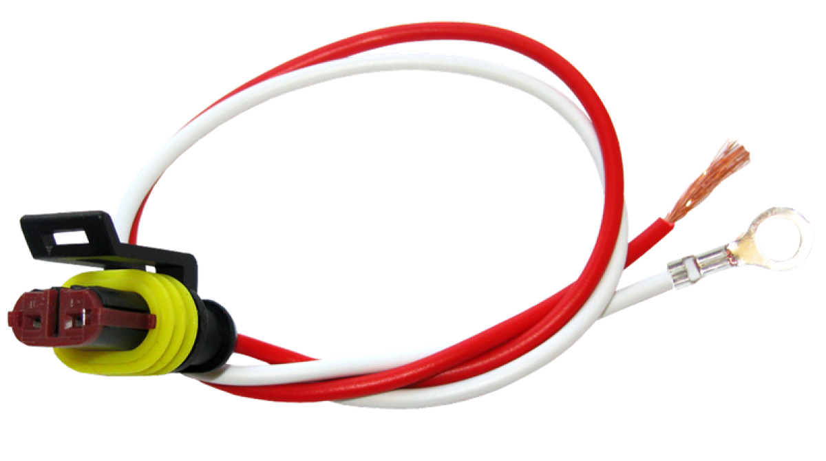 Weathertight 2-wire pigtail, plug to bare wire, 10" leads, 0.21" ID eyelet on ground