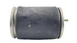 Hendrickson Trailer Air Ride Spring Bag Suspension fits Firestone W01-358-9580