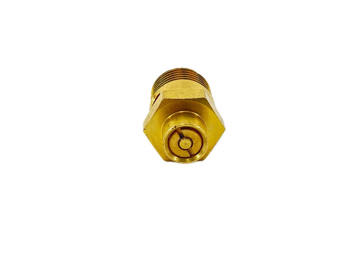 170.131081 - ST4 Type Safety Valve 250 PSI
