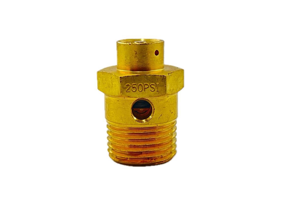 170.131081 - ST4 Type Safety Valve 250 PSI