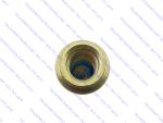 Dayton 13-3026L | 3/4-16 Inner Wheel Cap Nut (Left Hand)