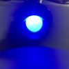 Cole Hersee PL-523-BC-BX Blue 12V LED Pilot Light (5/8-32 Bld Boxed) - Image 3