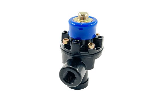 170.90554107 - Pressure Protection Valve - Image 5